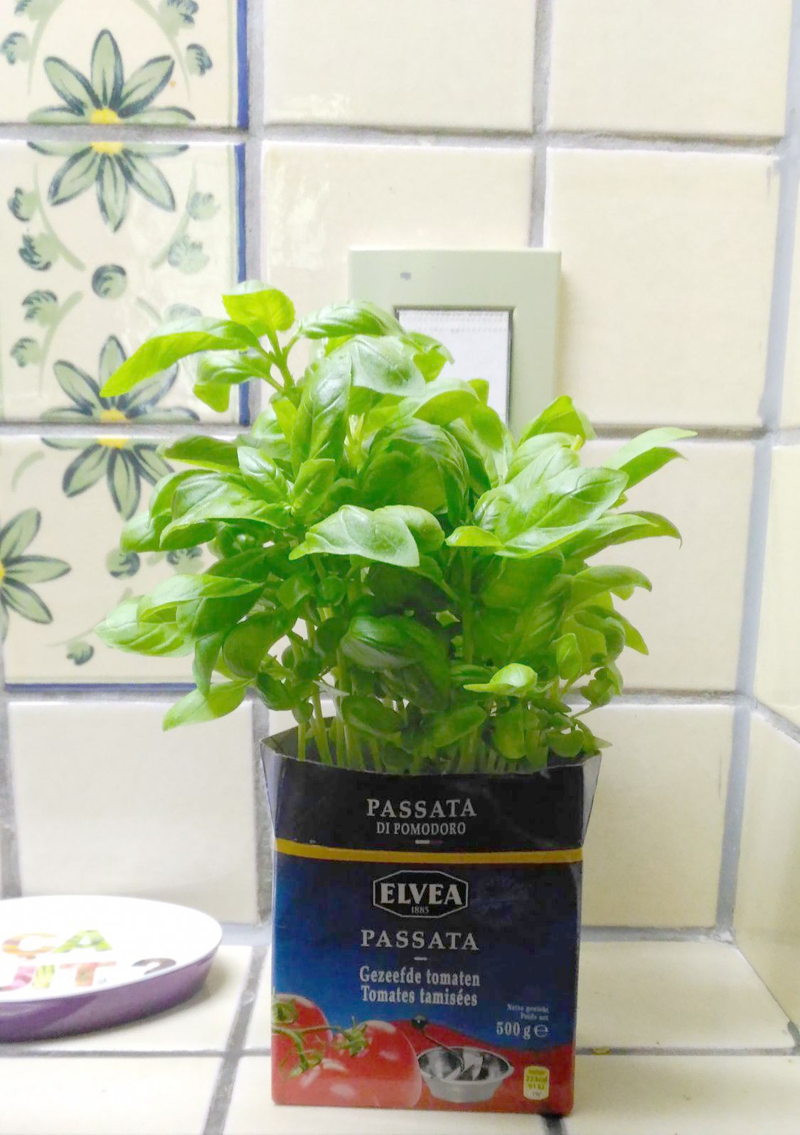 The ideal plant pot for my basil